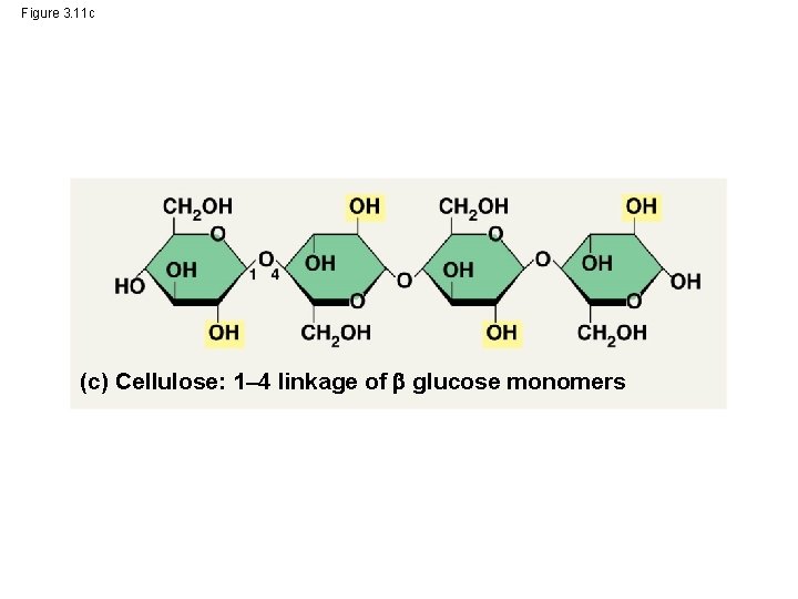 Figure 3. 11 c (c) Cellulose: 1– 4 linkage of glucose monomers 