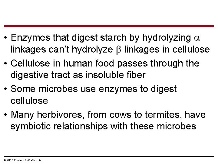  • Enzymes that digest starch by hydrolyzing linkages can’t hydrolyze linkages in cellulose