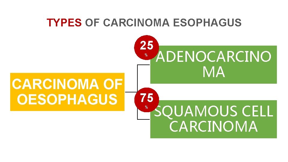 TYPES OF CARCINOMA ESOPHAGUS 25 % CARCINOMA OF OESOPHAGUS 75 % ADENOCARCINO MA SQUAMOUS