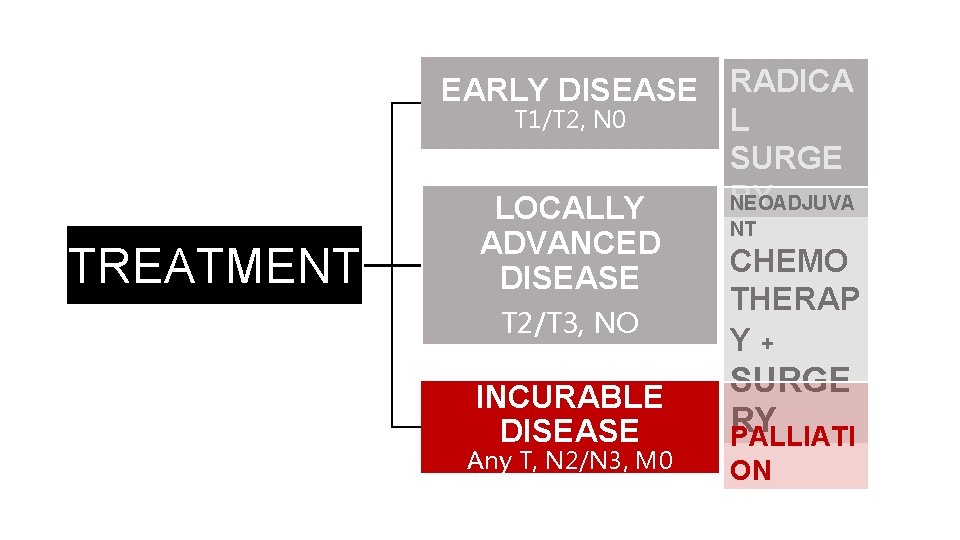 TREATMENT EARLY DISEASE RADICA T 1/T 2, N 0 L SURGE RY NEOADJUVA LOCALLY