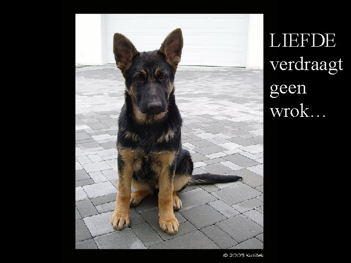 LIEFDE verdraagt geen wrok… 