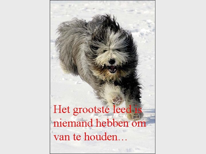 Het grootste leed is niemand hebben om van te houden… 