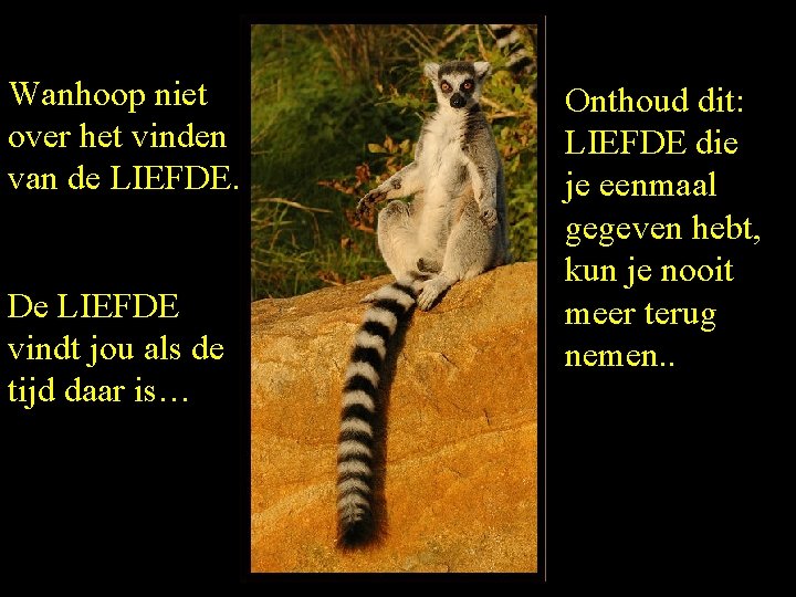 Wanhoop niet over het vinden van de LIEFDE. De LIEFDE vindt jou als de