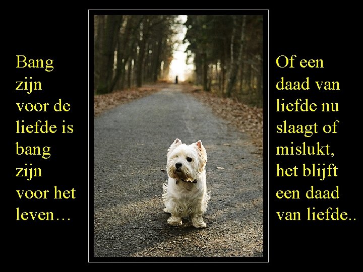 Bang zijn voor de liefde is bang zijn voor het leven… Of een daad