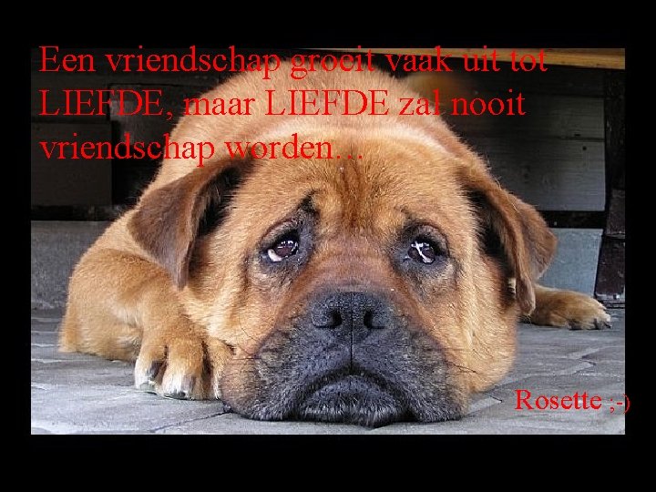 Een vriendschap groeit vaak uit tot LIEFDE, maar LIEFDE zal nooit vriendschap worden… Rosette