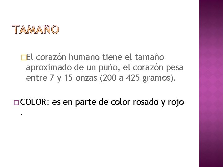 �El corazón humano tiene el tamaño aproximado de un puño, el corazón pesa entre