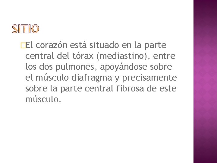 �El corazón está situado en la parte central del tórax (mediastino), entre los dos