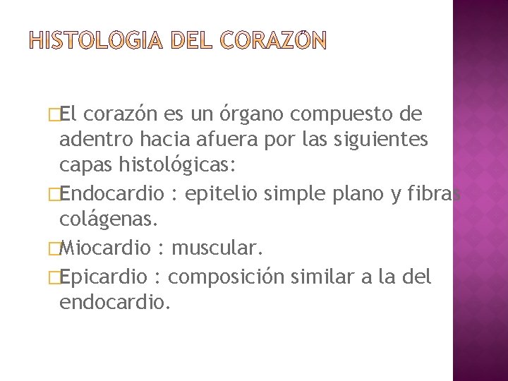 �El corazón es un órgano compuesto de adentro hacia afuera por las siguientes capas