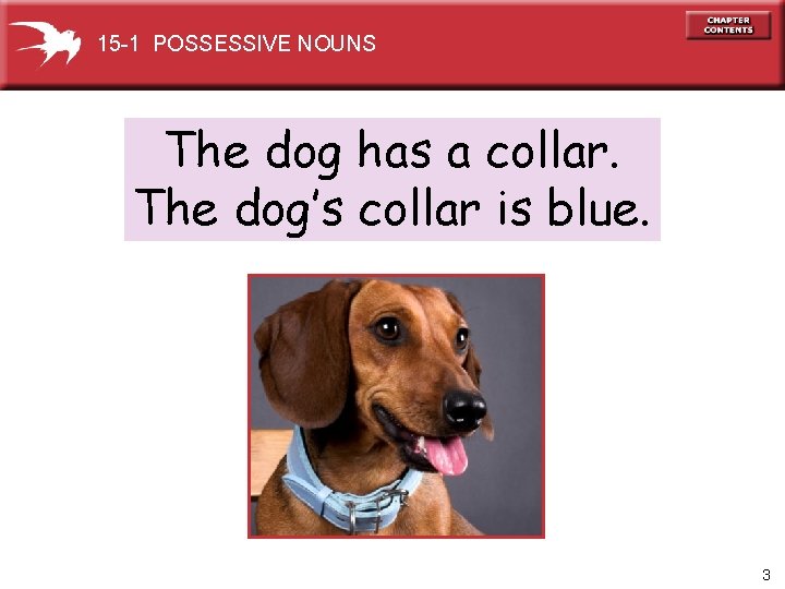 15 -1 POSSESSIVE NOUNS The dog has a collar. The dog’s collar is blue.