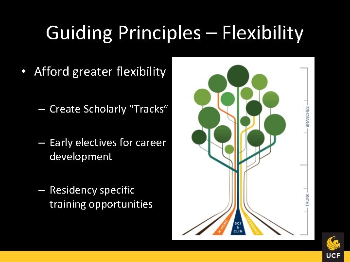 Guiding Principles – Flexibility • Afford greater flexibility – Create Scholarly “Tracks” – Early