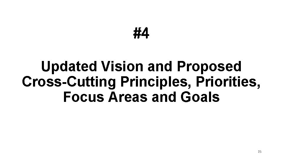 #4 Updated Vision and Proposed Cross-Cutting Principles, Priorities, Focus Areas and Goals 25 