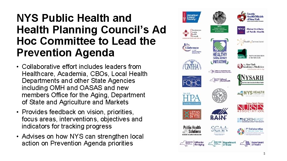 NYS Public Health and Health Planning Council’s Ad Hoc Committee to Lead the Prevention