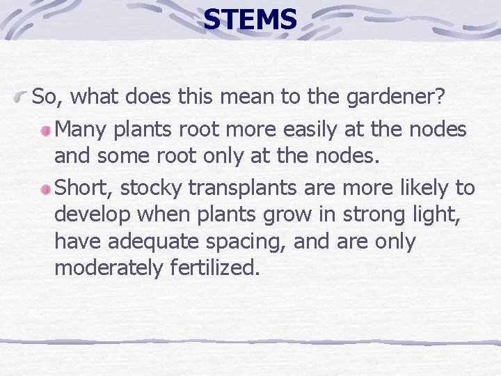 STEMS So, what does this mean to the gardener? Many plants root more easily STEMS So, what does this mean to the gardener? Many plants root more easily