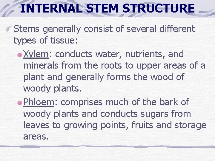 INTERNAL STEM STRUCTURE Stems generally consist of several different types of tissue: Xylem: conducts INTERNAL STEM STRUCTURE Stems generally consist of several different types of tissue: Xylem: conducts