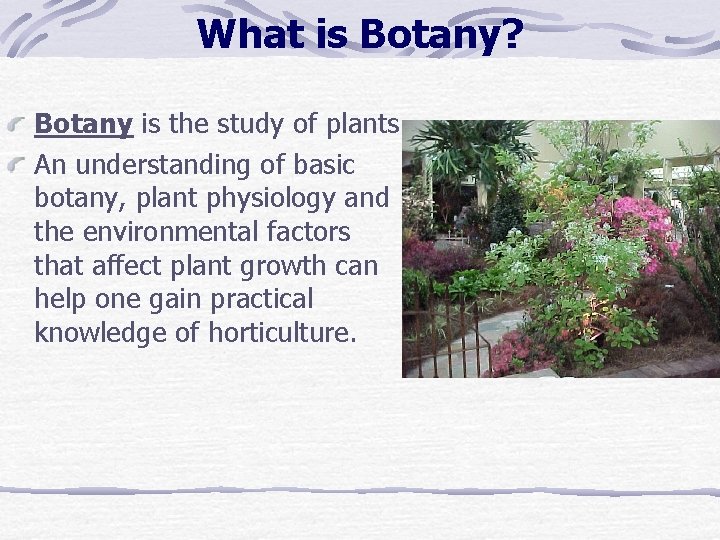 What is Botany? Botany is the study of plants. An understanding of basic botany, What is Botany? Botany is the study of plants. An understanding of basic botany,
