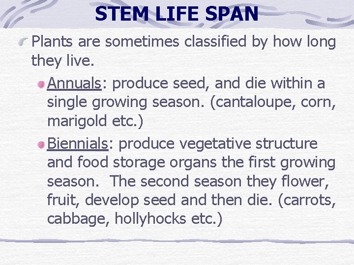 STEM LIFE SPAN Plants are sometimes classified by how long they live. Annuals: produce STEM LIFE SPAN Plants are sometimes classified by how long they live. Annuals: produce