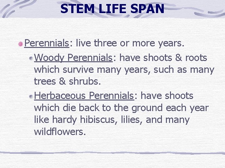 STEM LIFE SPAN Perennials: live three or more years. Woody Perennials: have shoots & STEM LIFE SPAN Perennials: live three or more years. Woody Perennials: have shoots &