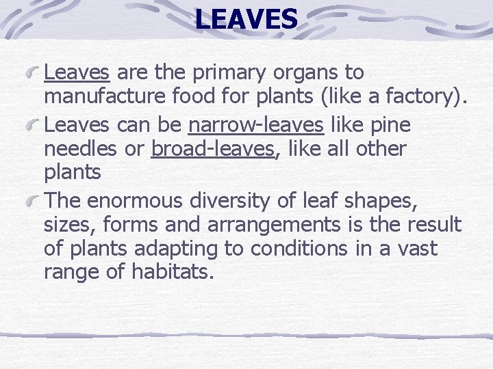 LEAVES Leaves are the primary organs to manufacture food for plants (like a factory). LEAVES Leaves are the primary organs to manufacture food for plants (like a factory).