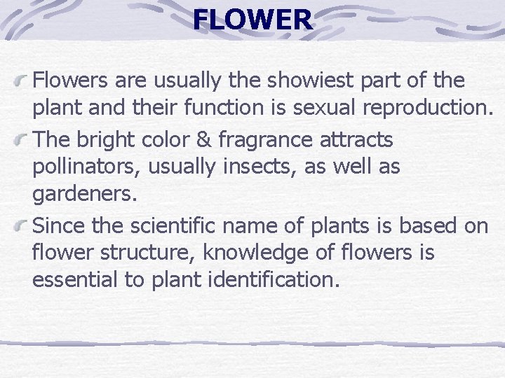 FLOWER Flowers are usually the showiest part of the plant and their function is FLOWER Flowers are usually the showiest part of the plant and their function is