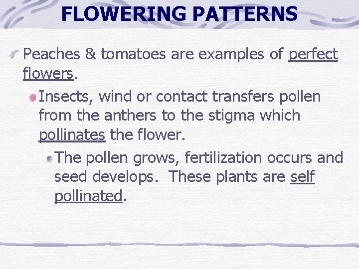 FLOWERING PATTERNS Peaches & tomatoes are examples of perfect flowers. Insects, wind or contact FLOWERING PATTERNS Peaches & tomatoes are examples of perfect flowers. Insects, wind or contact