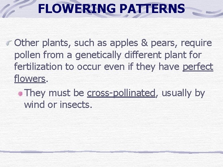 FLOWERING PATTERNS Other plants, such as apples & pears, require pollen from a genetically FLOWERING PATTERNS Other plants, such as apples & pears, require pollen from a genetically