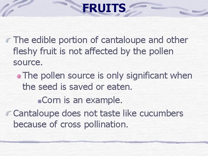 FRUITS The edible portion of cantaloupe and other fleshy fruit is not affected by FRUITS The edible portion of cantaloupe and other fleshy fruit is not affected by