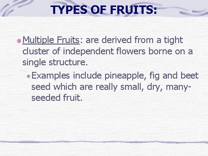 TYPES OF FRUITS: Multiple Fruits: are derived from a tight cluster of independent flowers TYPES OF FRUITS: Multiple Fruits: are derived from a tight cluster of independent flowers