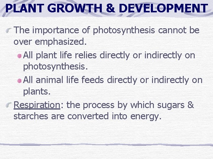 PLANT GROWTH & DEVELOPMENT The importance of photosynthesis cannot be over emphasized. All plant PLANT GROWTH & DEVELOPMENT The importance of photosynthesis cannot be over emphasized. All plant