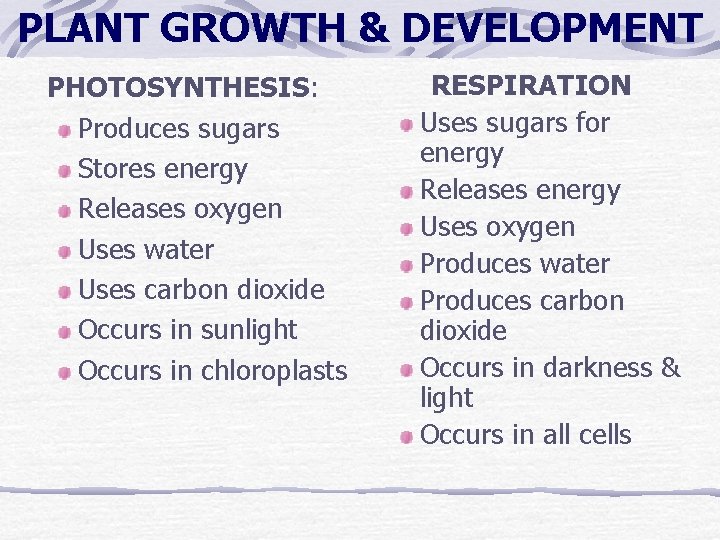 PLANT GROWTH & DEVELOPMENT PHOTOSYNTHESIS: Produces sugars Stores energy Releases oxygen Uses water Uses PLANT GROWTH & DEVELOPMENT PHOTOSYNTHESIS: Produces sugars Stores energy Releases oxygen Uses water Uses