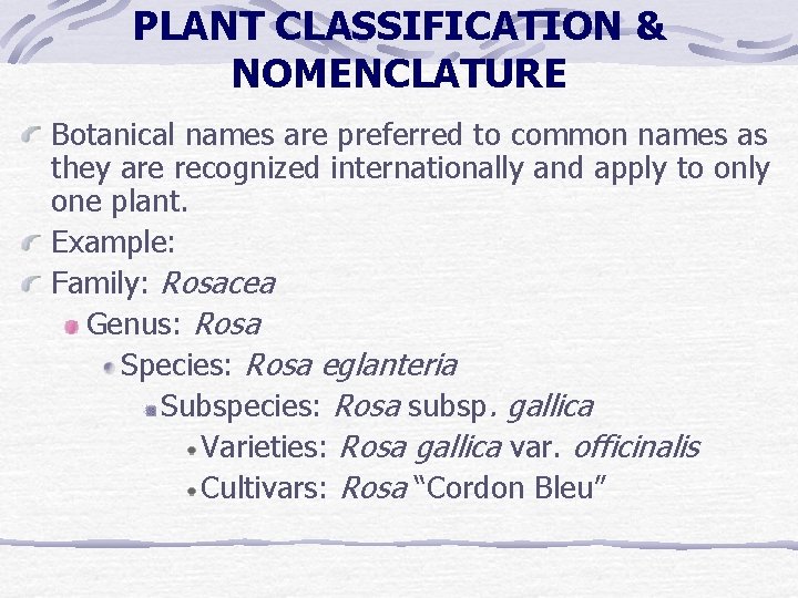 PLANT CLASSIFICATION & NOMENCLATURE Botanical names are preferred to common names as they are PLANT CLASSIFICATION & NOMENCLATURE Botanical names are preferred to common names as they are