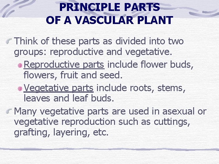 PRINCIPLE PARTS OF A VASCULAR PLANT Think of these parts as divided into two PRINCIPLE PARTS OF A VASCULAR PLANT Think of these parts as divided into two