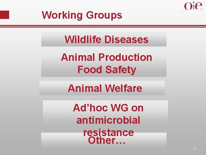 Working Groups Wildlife Diseases Animal Production Food Safety Animal Welfare Ad’hoc WG on antimicrobial