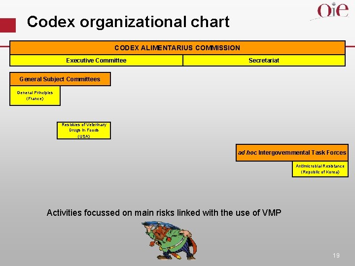 Codex organizational chart CODEX ALIMENTARIUS COMMISSION Executive Committee Secretariat General Subject Committees General Principles
