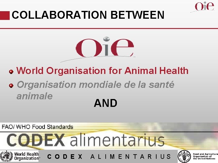 COLLABORATION BETWEEN World Organisation for Animal Health Organisation mondiale de la santé animale AND