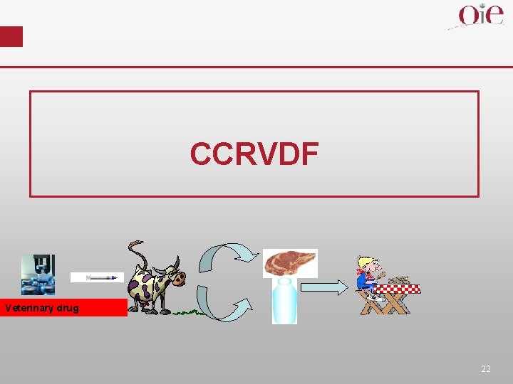 CCRVDF Veterinary drug 22 