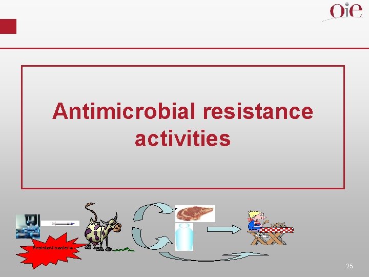 Antimicrobial resistance activities Resistant bacteria 25 