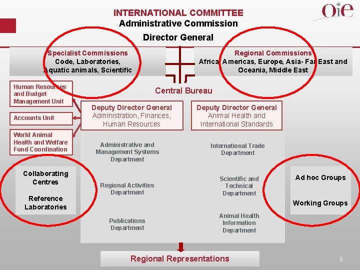 INTERNATIONAL COMMITTEE Administrative Commission Director General Specialist Commissions Code, Laboratories, Aquatic animals, Scientific Human