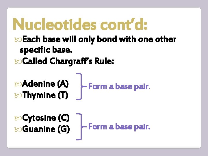 Nucleotides cont’d: Each base will only bond with one other specific base. Called Chargraff’s