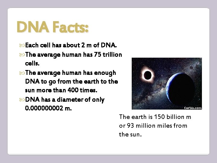 DNA Facts: Each cell has about 2 m of DNA. The average human has