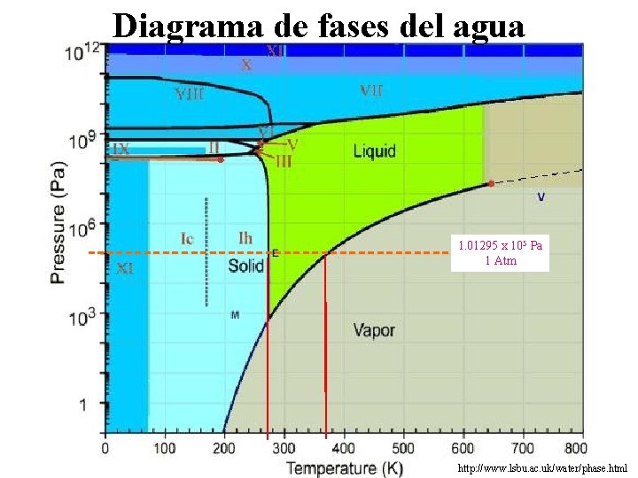 Diagrama de fases del agua 1. 01295 x 105 Pa 1 Atm http: //www.