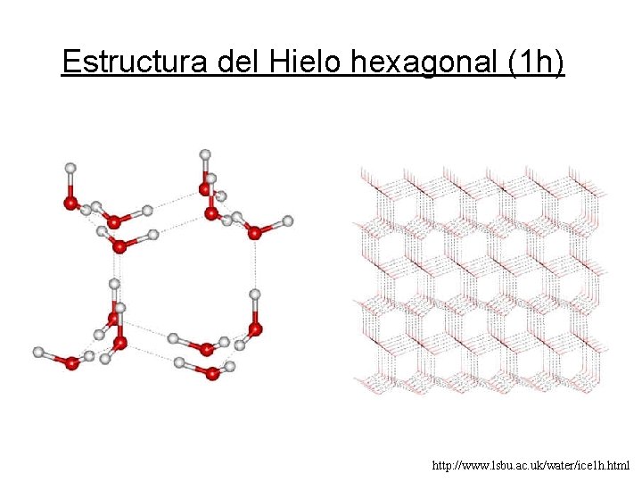 Estructura del Hielo hexagonal (1 h) http: //www. lsbu. ac. uk/water/ice 1 h. html