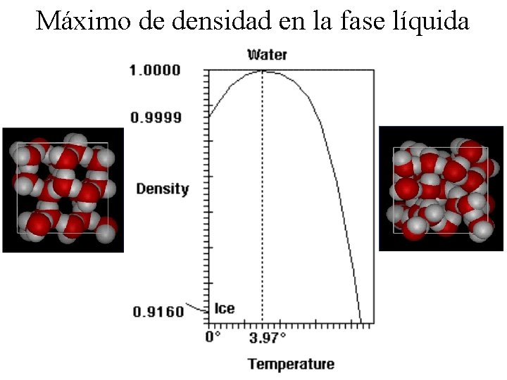 Máximo de densidad en la fase líquida 