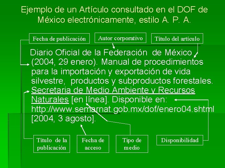 Ejemplo de un Artículo consultado en el DOF de México electrónicamente, estilo A. P.