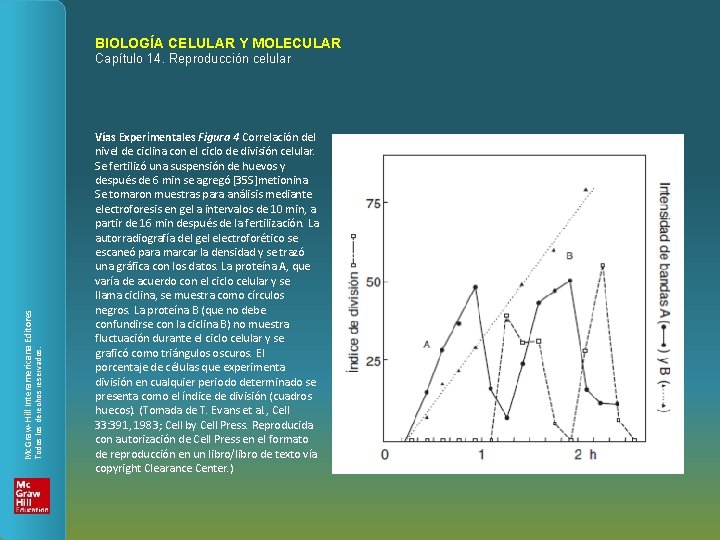 BIOLOGÍA CELULAR Y MOLECULAR Todos los derechos reservados. Mc. Graw-Hill Interamericana Editores Capítulo 14.