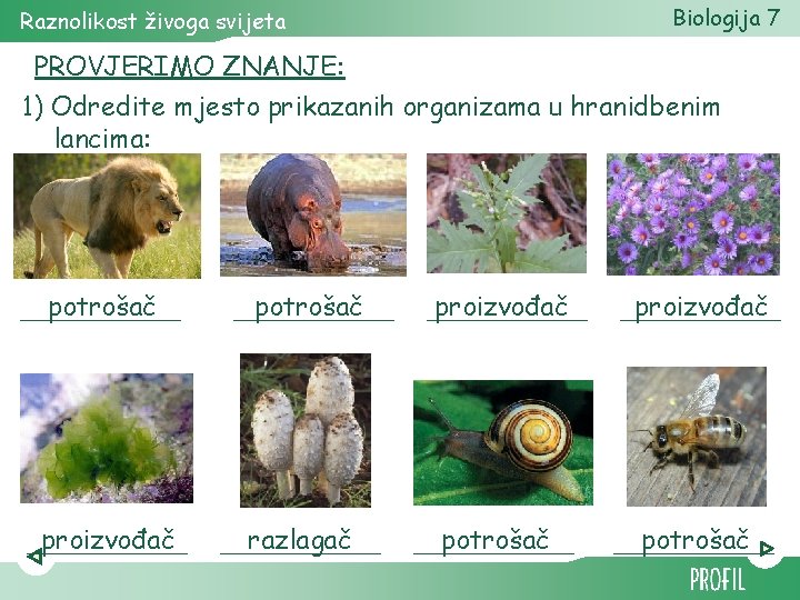 Biologija 7 Raznolikost živoga svijeta PROVJERIMO ZNANJE: 1) Odredite mjesto prikazanih organizama u hranidbenim