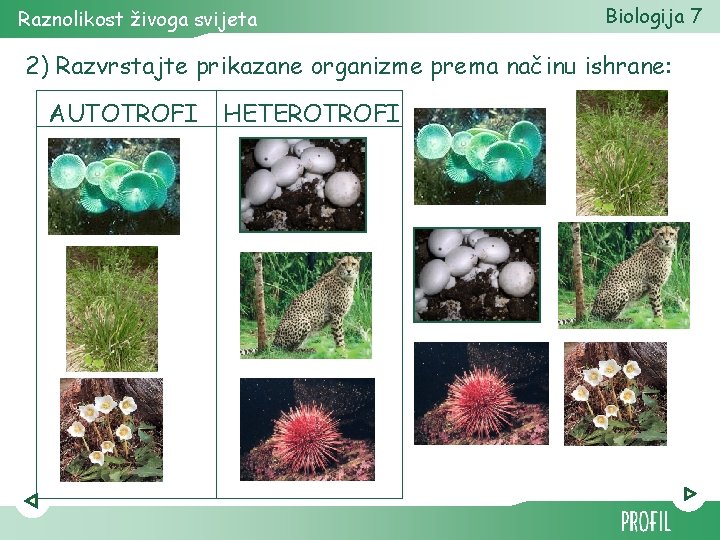 Raznolikost živoga svijeta Biologija 7 2) Razvrstajte prikazane organizme prema načinu ishrane: AUTOTROFI HETEROTROFI