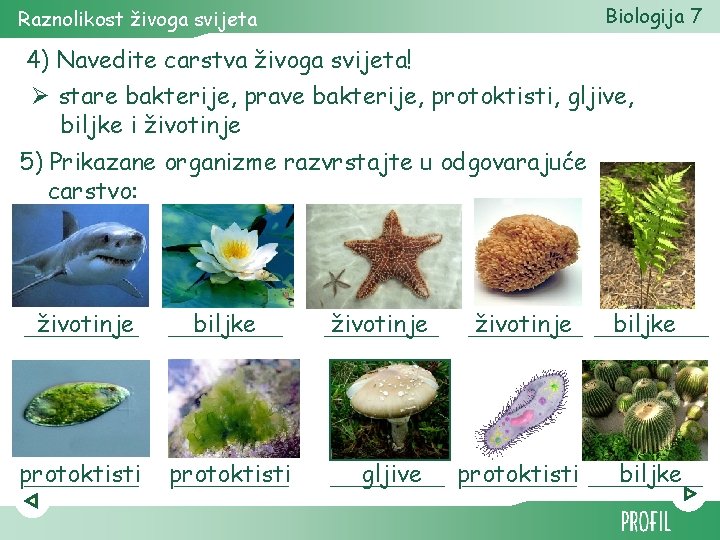 Biologija 7 Raznolikost živoga svijeta 4) Navedite carstva živoga svijeta! Ø stare bakterije, prave