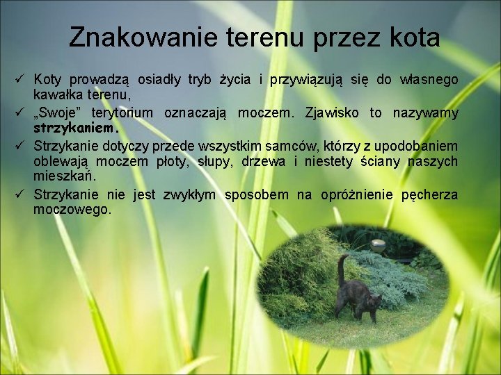 Znakowanie terenu przez kota ü Koty prowadzą osiadły tryb życia i przywiązują się do