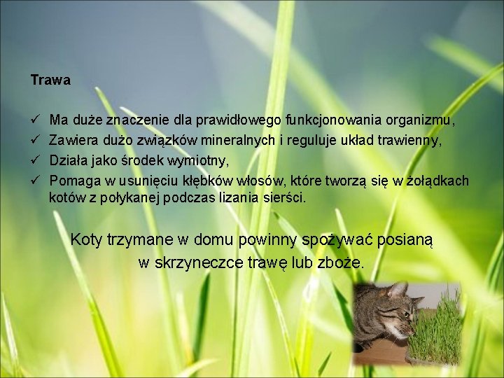 Trawa ü ü Ma duże znaczenie dla prawidłowego funkcjonowania organizmu, Zawiera dużo związków mineralnych