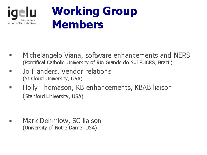 Working Group Members § Michelangelo Viana, software enhancements and NERS § Jo Flanders, Vendor